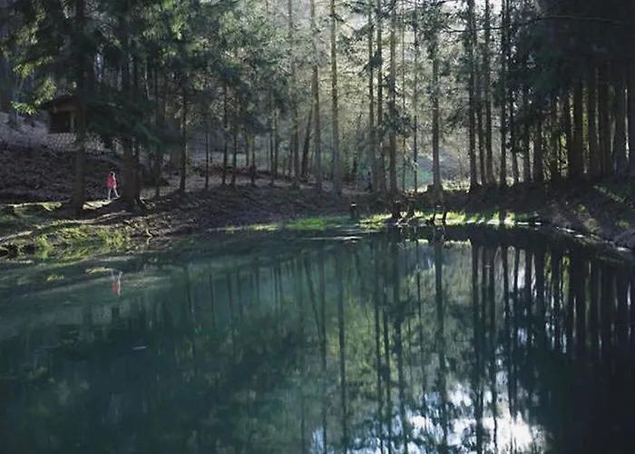 Baerennest Haus By Interhome Holiday home *