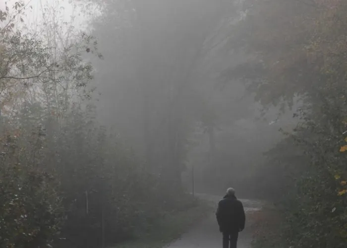 Baerennest Haus By Interhome Kirchheim